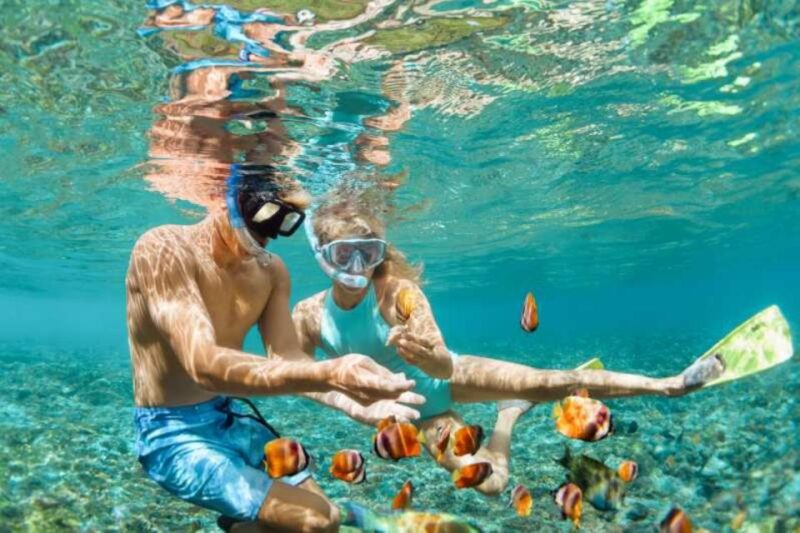 Sharm El Sheikh: Dahab, Canyon, Camel, and Snorkel Jeep Tour - Included in the Tour