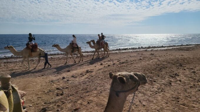 Sharm El Sheikh: Dahab, Canyon, Camel, and Snorkel Jeep Tour - Snorkeling and Swimming