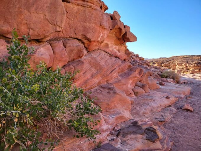 Sharm El Sheikh: Dahab, Canyon, Camel, and Snorkel Jeep Tour - Shopping and Exploring