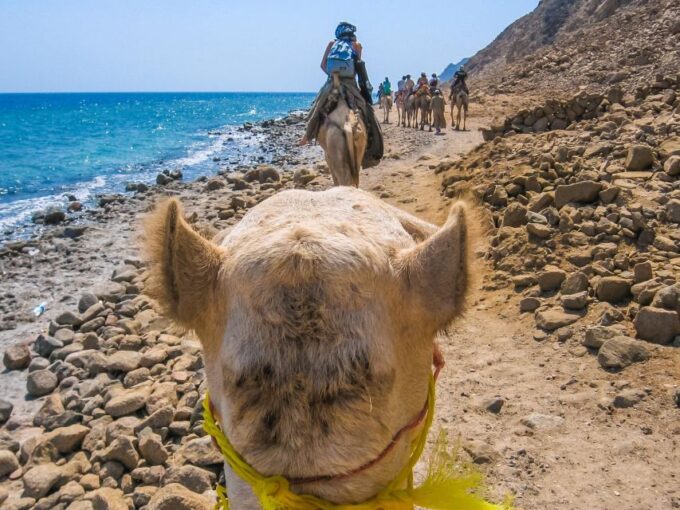 Sharm El Sheikh: Dahab, Canyon, Camel, and Snorkel Jeep Tour - Frequently Asked Questions