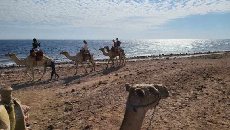 Sharm El Sheikh: Dahab, Canyon, Camel, and Snorkel Jeep Tour - Tour Experience and Activities