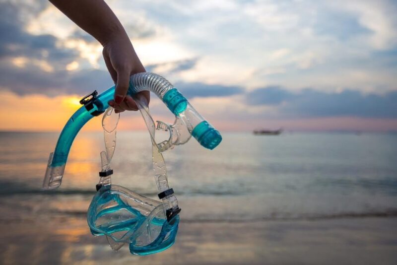 Sharm El Sheikh: Day Sail to White Island and Ras Mohamed - Itinerary and Experience