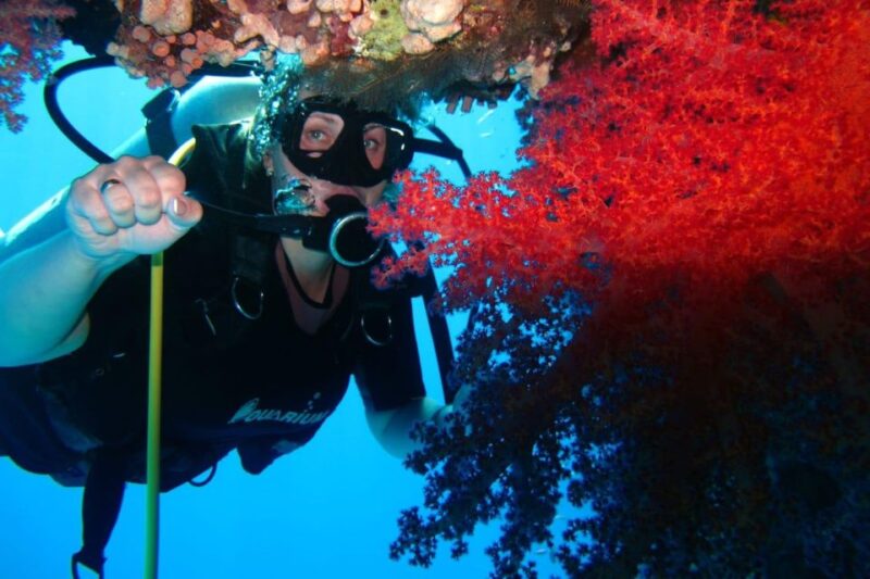 Sharm El Sheikh: Day Sail to White Island and Ras Mohamed - Customer Feedback