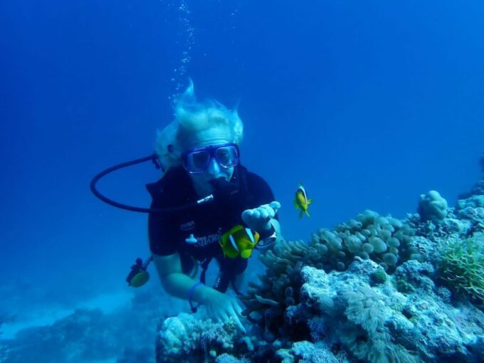 Sharm El Sheikh: Day Sail to White Island and Ras Mohamed - Why Visit White Island