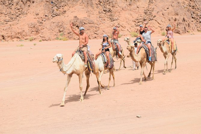 Sharm El Sheikh Desert Adventure (5X1) - All-Terrain Vehicle Excursion