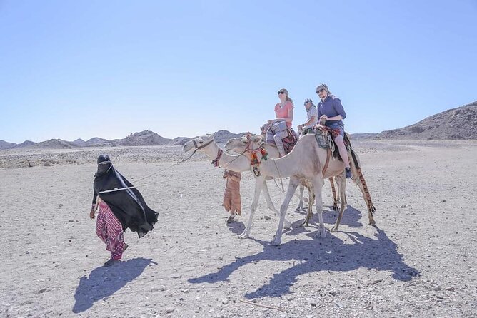 Sharm El Sheikh Desert Adventure (5X1) - Camel Riding Experience