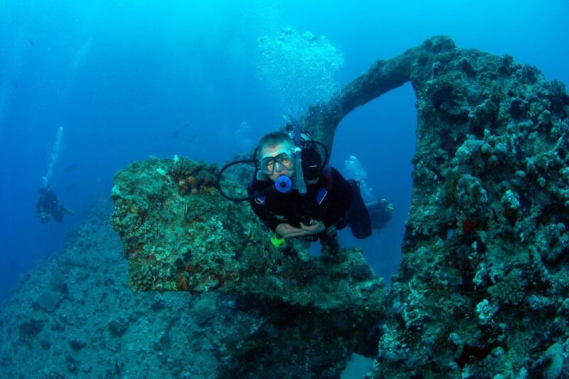 Sharm El Sheikh: Diving Day Trip by Boat at Ras Mohamed - Pricing and Savings