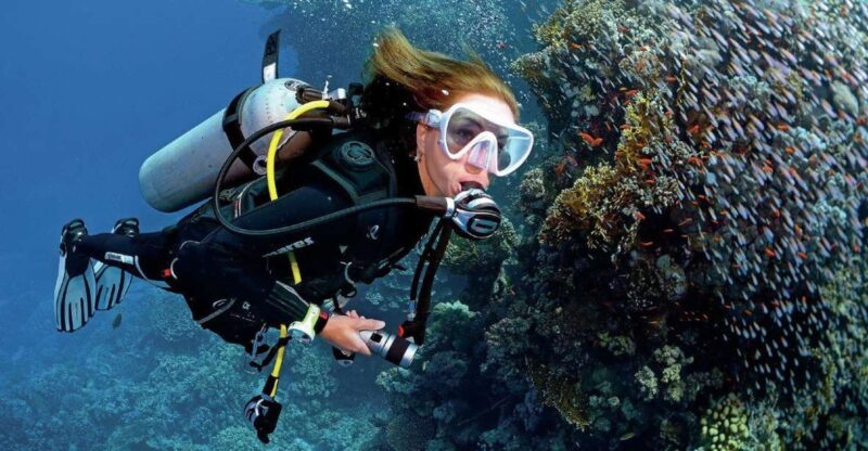 Sharm El Sheikh: Diving Day Trip by Boat at Ras Mohamed - Transportation and Pickup