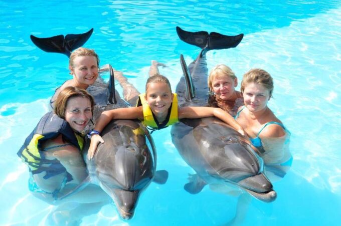 Sharm El-Sheikh: Dolphin Show & Optional Swimming W/Dolphins - Frequently Asked Questions