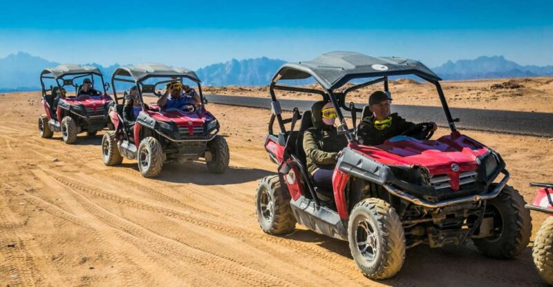 Sharm El Sheikh: Dune Buggy and Horse/Camel Trip With Meal - Key Points