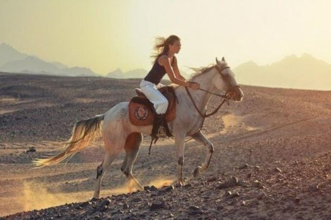 Sharm El Sheikh: Dune Buggy and Horse/Camel Trip With Meal - What to Expect