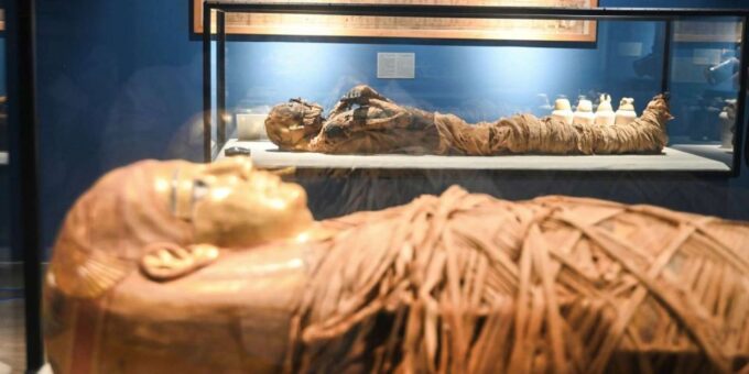 Sharm El Sheikh: Giza Plateau and Egyptian Museum Day Trip - Customer Feedback