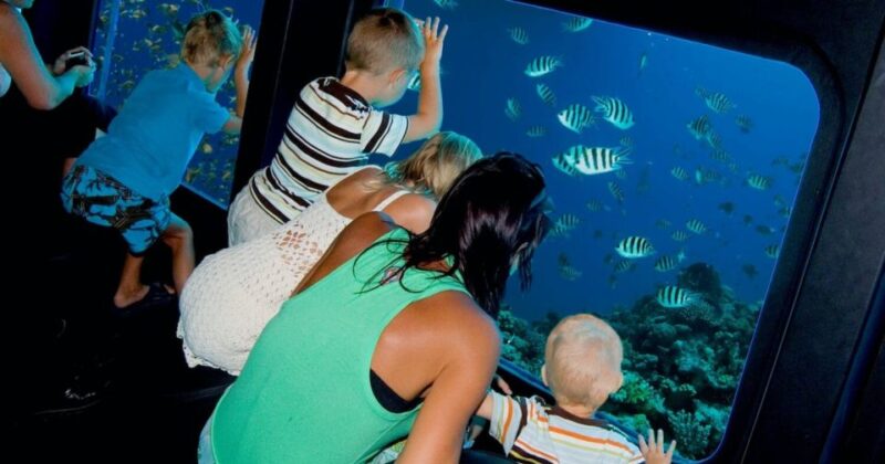 Sharm El-Sheikh: Glass Bottom Boat Coastal Tour - Detailed Itinerary