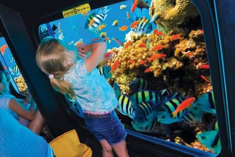 Sharm El-Sheikh: Glass Bottom Boat Coastal Tour - Explore Underwater World