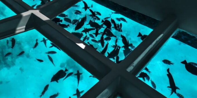 Sharm El Sheikh: Glass Bottom Boat Tour & Private Transfer - Itinerary and Drive