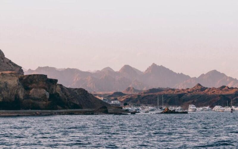 Sharm El-Sheikh: Guided Shore Scuba Diving at 2 Dives - Exploring Coral Reefs and Marine Life