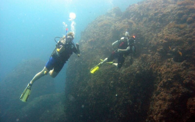 Sharm El-Sheikh: Guided Shore Scuba Diving at 2 Dives - Scuba Equipment and Certification Requirements