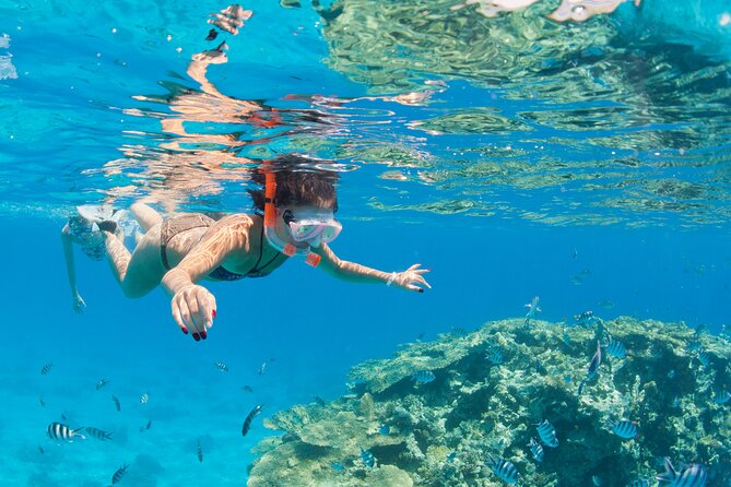 Sharm El Sheikh: Jeep Adventure to Blue Hole, Canyon & Dahab - Additional Information