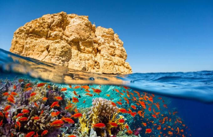 Sharm El Sheikh: Luxury Boat Cruise With Snorkeling & Lunch - Frequently Asked Questions