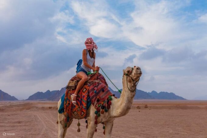 Sharm El Sheikh - Mega Safari Waves and Dunes With Lunch - Water Activities at the Beach