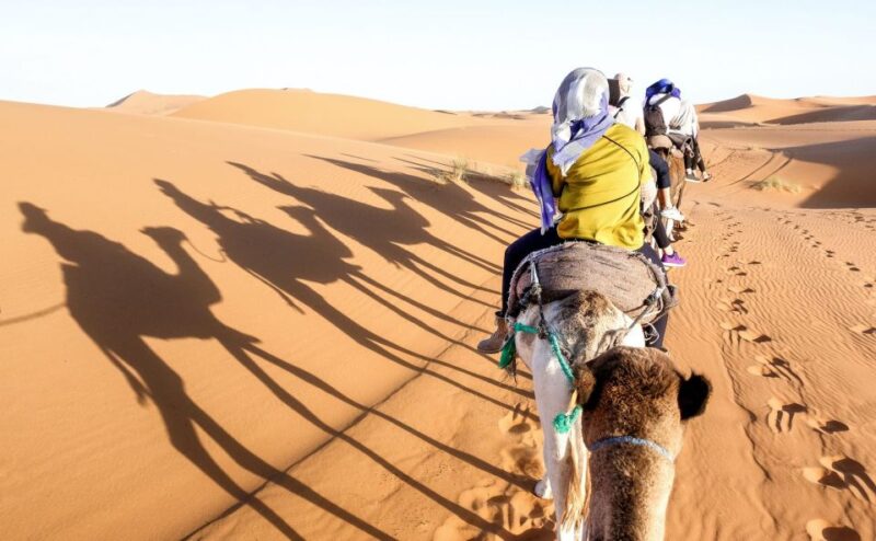 Sharm El Sheikh: Morning Tour by ATV Quad With Echo Mountain - Scenic Views and Highlights