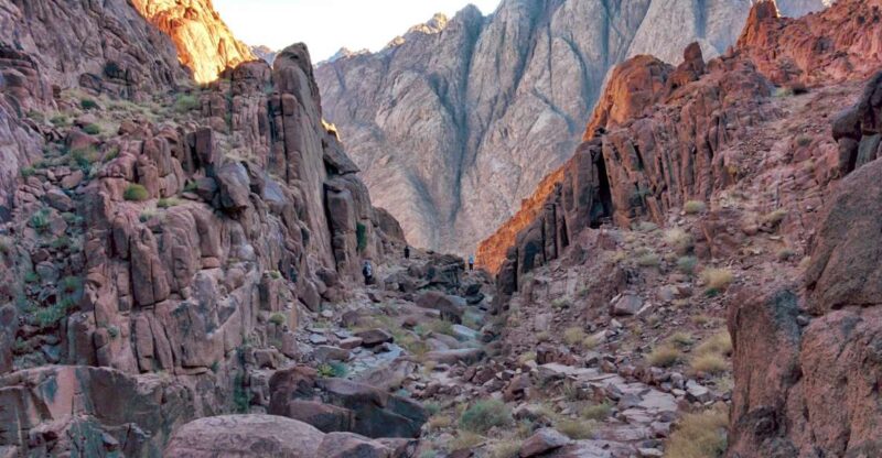 Sharm El Sheikh: Mount Sinai & St. Catherine Monastery Tour - Transportation and Guide