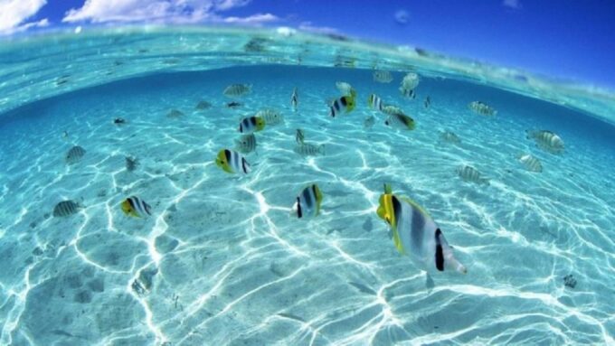 Sharm El Sheikh: Parasailing and Speedboat Snorkeling Trip - Additional Information