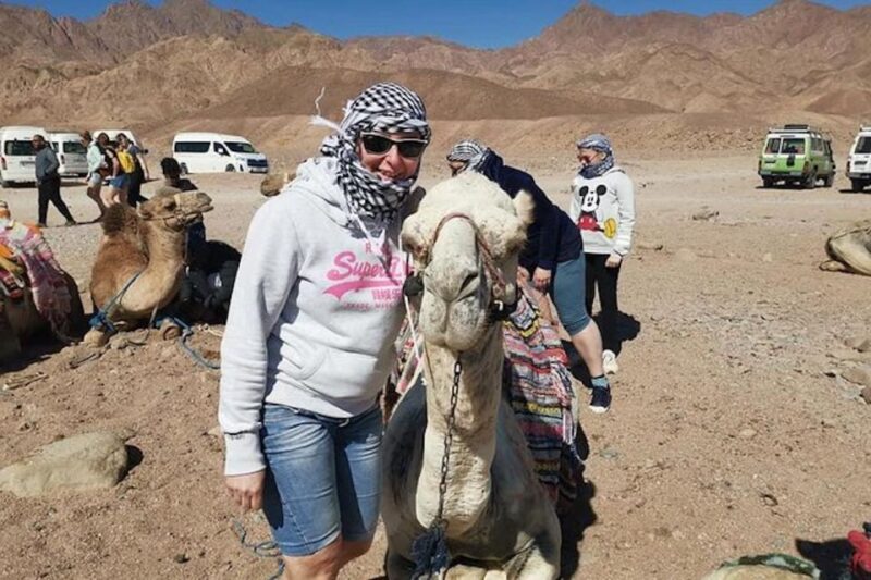 Sharm El-Sheikh: Parasailing, Camel Ride, Dive & Quad Bike - Included Experiences
