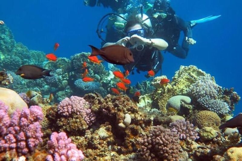 Sharm El-Sheikh: Parasailing, Camel Ride, Dive & Quad Bike - Suggested Packing