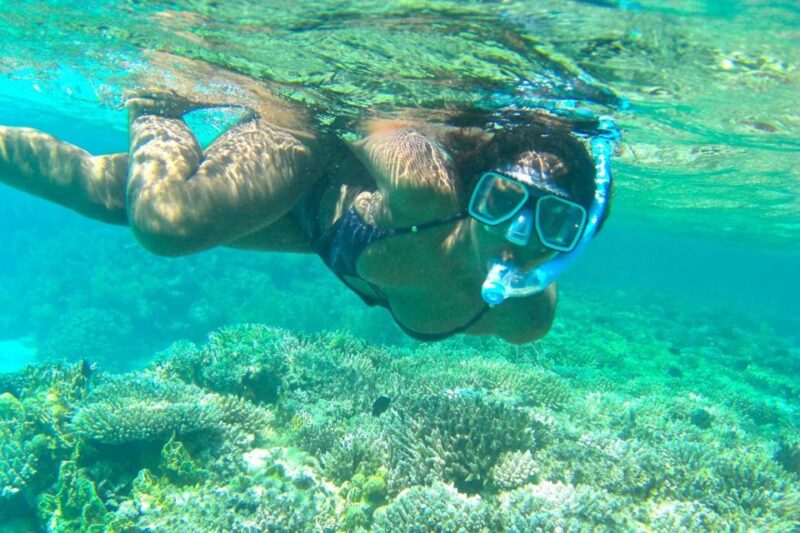 Sharm El-Sheikh Port to Ras Mohamed National Park by Car - Key Points