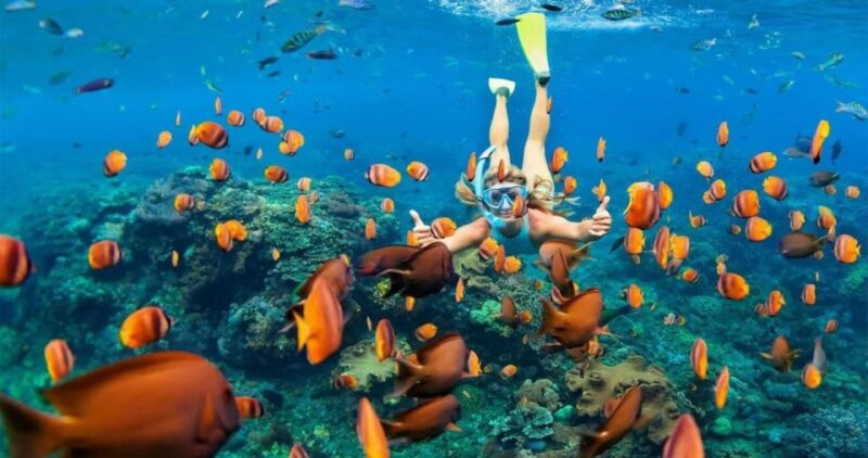 Sharm El-Sheikh Port to Ras Mohamed National Park by Car - Transportation and Pickup