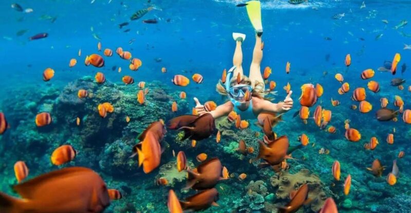 Sharm El-Sheikh Port to Ras Mohamed National Park by Car - Guided Tour Experience