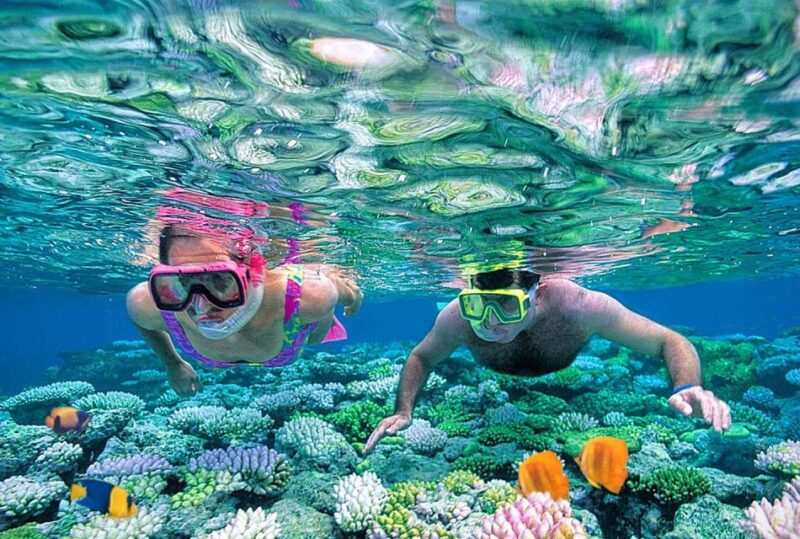 Sharm El-Sheikh Port to Ras Mohamed National Park by Car - Mangroves and Saltwater Trees