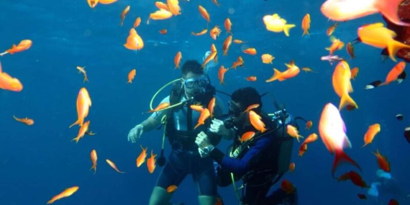Sharm El-Sheikh Port to Ras Mohamed National Park by Car - Magical Lake and History