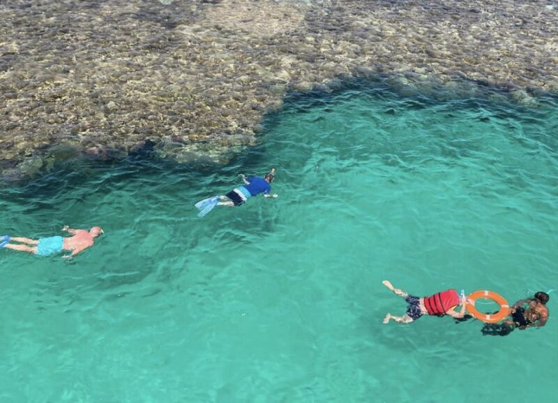 Sharm El-Sheikh: Premium Ras Mohammed & White Island Cruise - Activities and Amenities