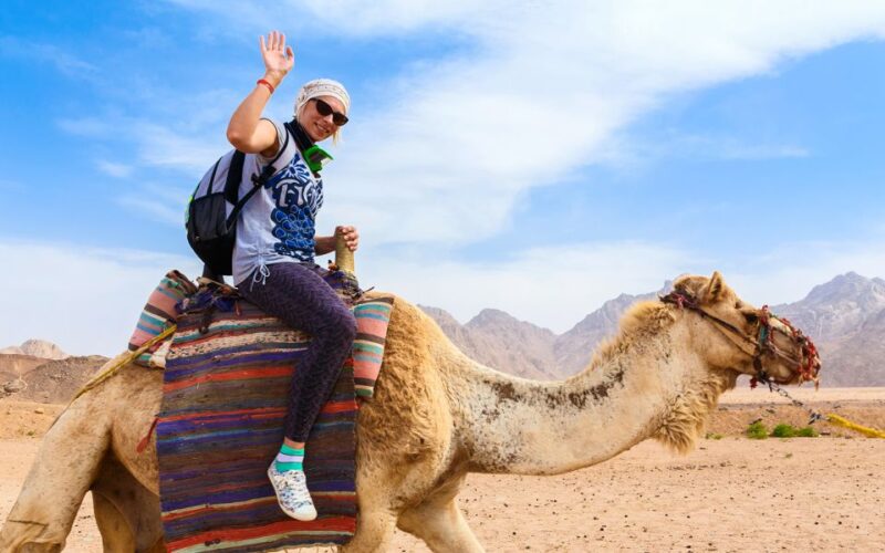 Sharm El Sheikh: Private City Tour With ATV and Bedouin Tent - Key Points