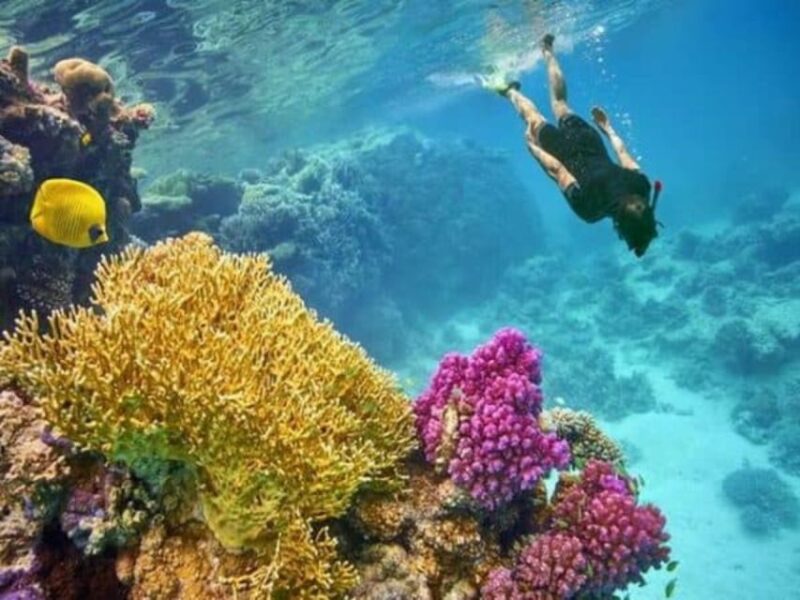 Sharm El Sheikh: Private Speedboat Afternoon Snorkeling Tour - Snorkeling Locations