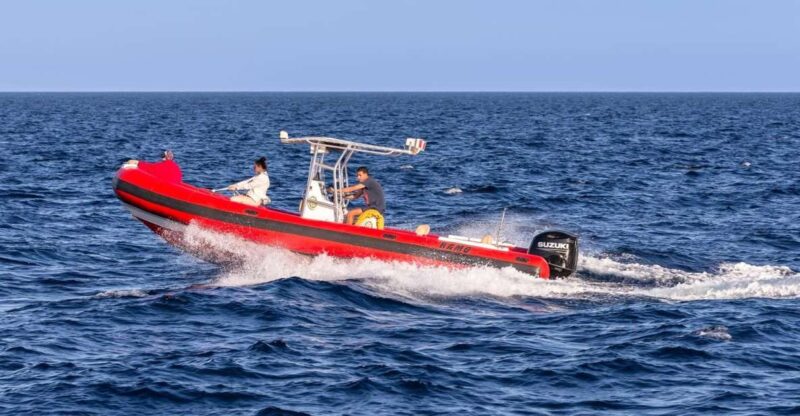 Sharm El Sheikh: Private Speedboat Trip to Tiran Island - Itinerary Details