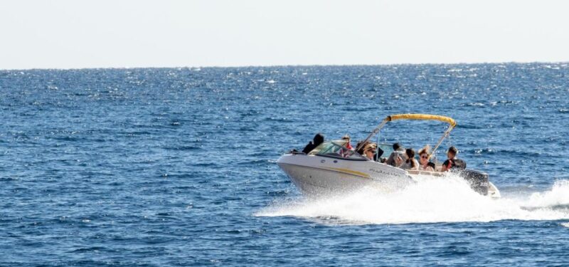 Sharm El Sheikh: Private Speedboat Trip to Tiran Island - Pricing and Savings