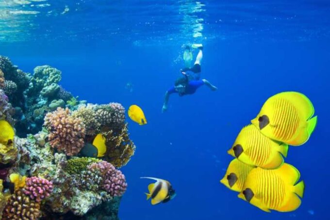 Sharm El Sheikh: Private Yacht Trip With Lunch and Drinks - Frequently Asked Questions