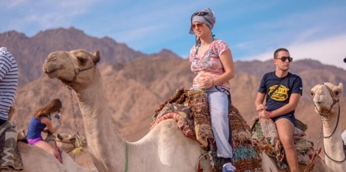 Sharm El Sheikh: Quad Bike, Safari, Camel With Dinner & Show - Key Highlights