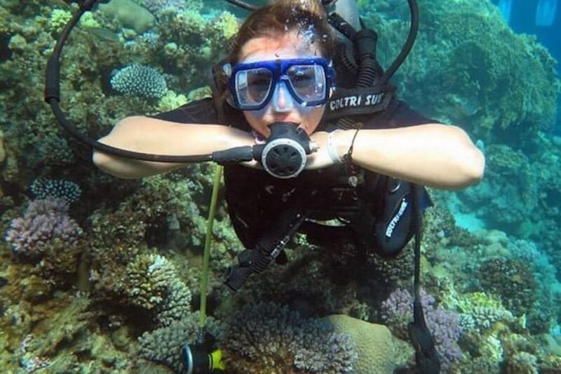 Sharm El Sheikh: Ras Mohamed, White Island, Snorkel & Diving - Inclusions and Equipment