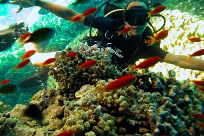 Sharm El Sheikh: Ras Mohamed, White Island, Snorkel & Diving - Exploring Ras Mohamed National Park