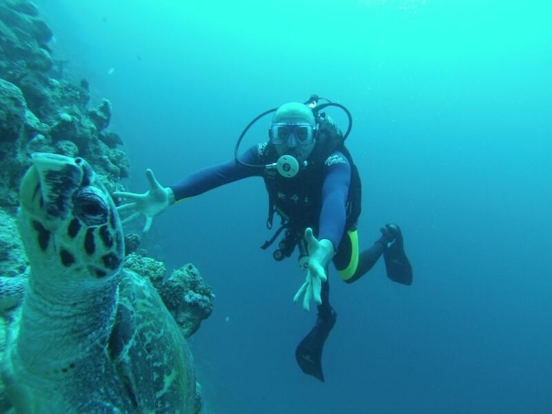 Sharm El Sheikh: Ras Mohamed, White Island, Snorkel & Diving - Key Points