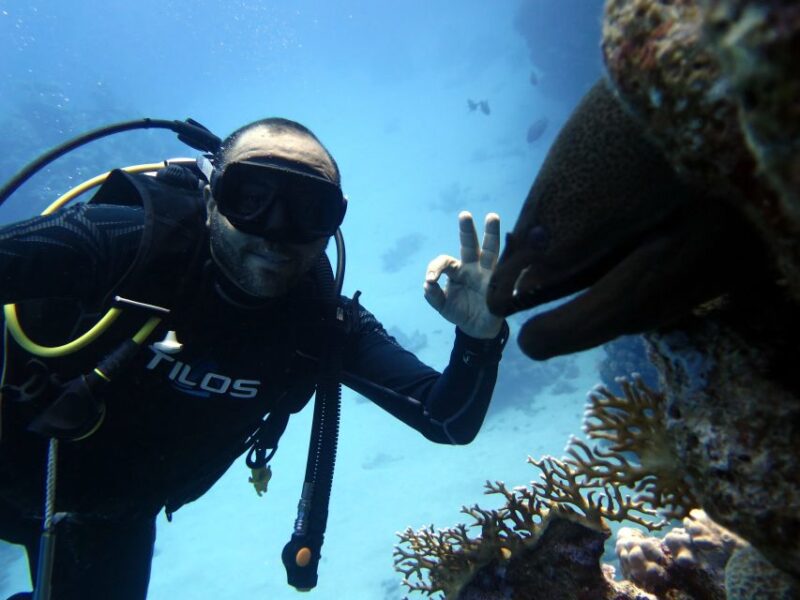 Sharm El Sheikh: Ras Mohamed, White Island, Snorkel & Diving - Dive and Snorkel Options