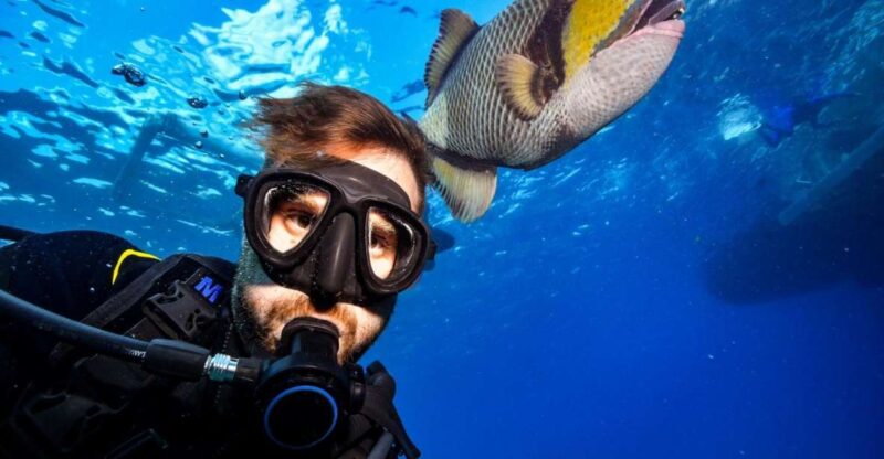 Sharm El Sheikh: Ras Mohamed, White Island, Snorkel & Diving - Highlights
