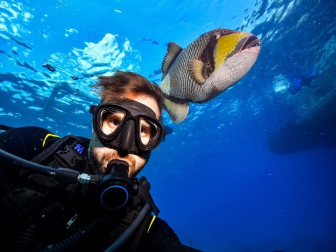 Sharm El Sheikh: Ras Mohamed, White Island, Snorkel & Diving - Frequently Asked Questions