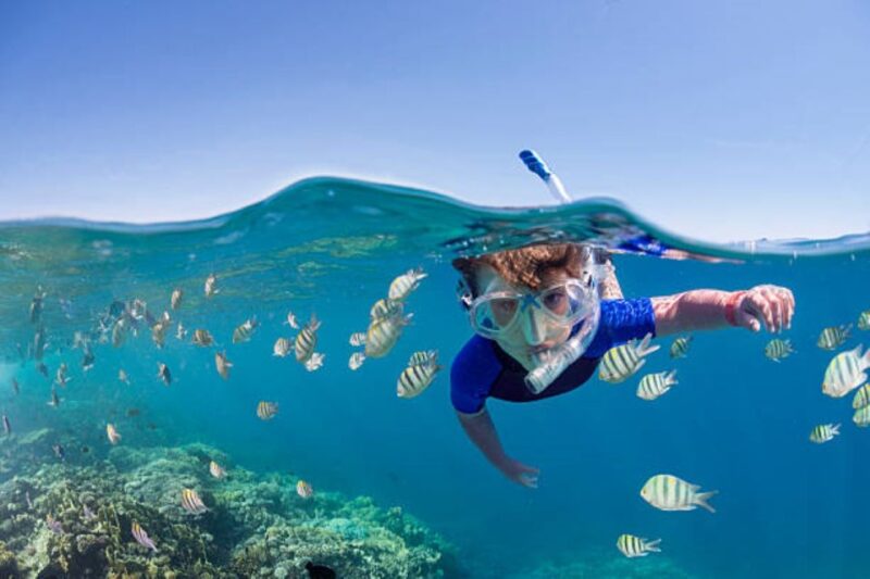 Sharm El Sheikh: Ras Mohamed & White Island Trip With Lunch - National Park Exploration