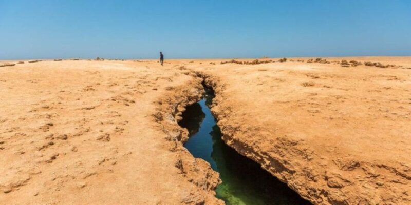 Sharm El-Sheikh: Ras Mohammed Park and Magic Lake Day Tour - Customer Reviews and Ratings