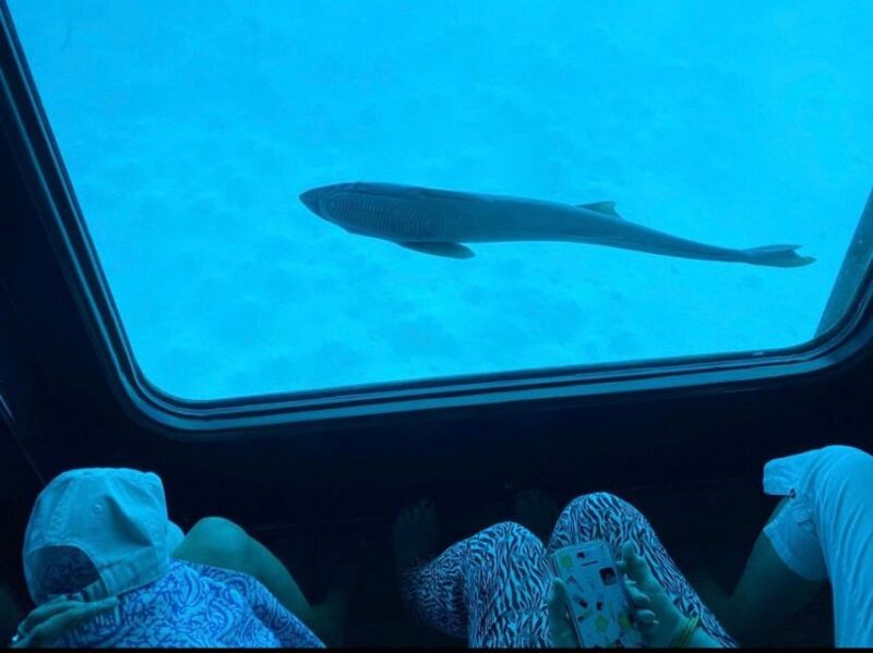Sharm El-Sheikh: Seascope Submarine Boat Cruise With Pickup - Frequently Asked Questions